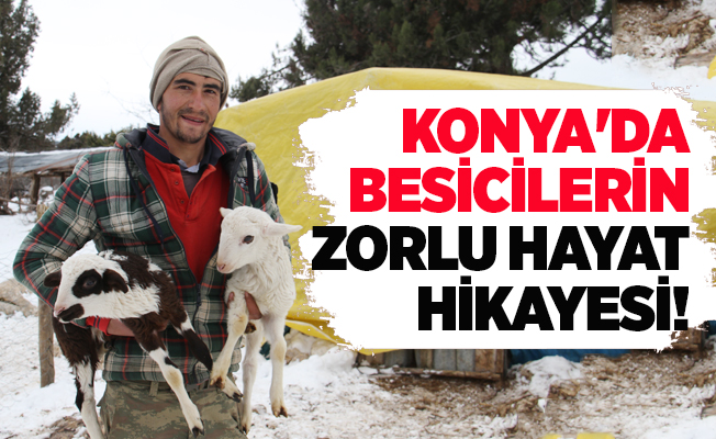 Konya'da besicilerin zorlu hayat hikayesi!