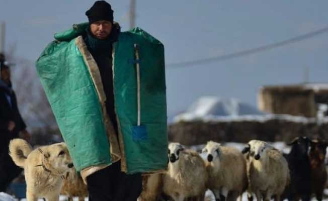 Çobanlarda otomobile ÖTV ödemesin teklifi