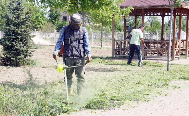 Karatay’da yabancı ot temizliği sürüyor