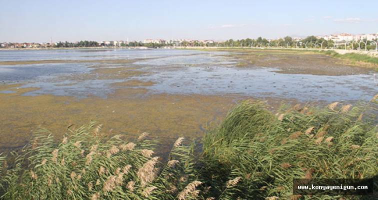 Beyşehir’de su seviyesinin düştüğü gölde regülatör kapakları kapatıldı