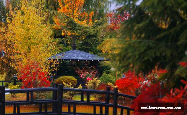 Kuğulu ve Japon Parkı  hazan renklerine büründü