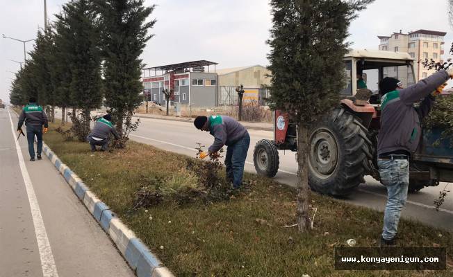 Beyşehir Belediyesi kısıtlamayı fırsata çevirdi