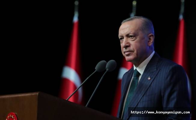 Başkan Erdoğan'dan döviz kuru açıklaması