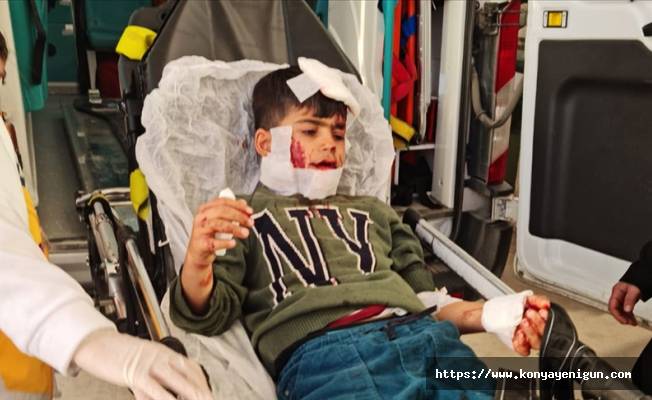 Mardin'de sokak köpeklerinin saldırısına uğrayan çocuk ağır yaralandı