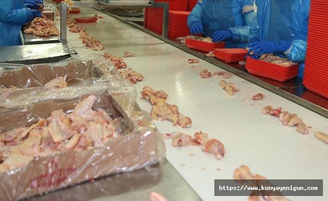 Türkiye tavuk eti üretiminde geçen yıl 2,2 milyon tonla rekor kırdı