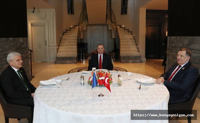 Cumhurbaşkanı Erdoğan, Bosna Hersek heyetiyle görüştü