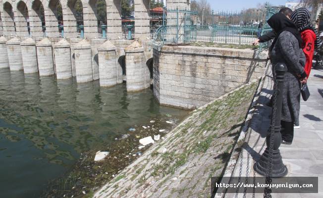 Beyşehir Gölü'nde ölen balıklar kıyıya vurdu