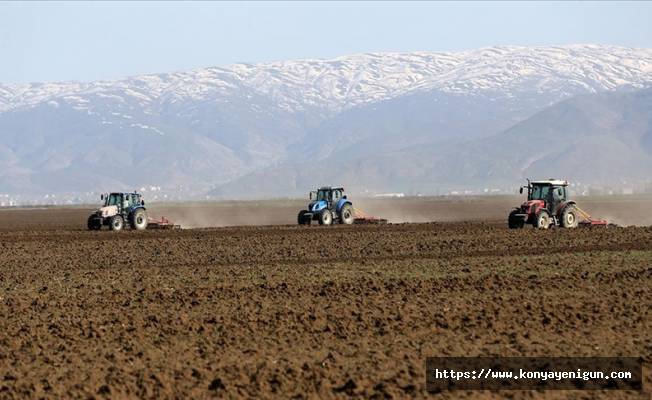 Çiftçiler Muş Ovası'nda ekim mesaisine başladı