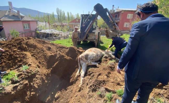 Konya'da kuyuya düşen inek kurtarıldı