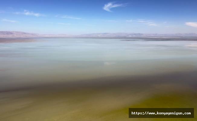Akşehir Gölü bu yıl artan su varlığıyla yüzleri güldürüyor