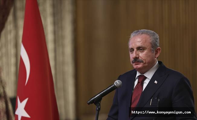 TBMM Başkanı Şentop, Gürcistan'ın Milli Günü'nü kutladı