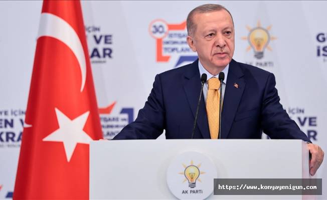 Erdoğan: "Çapulcuya çapulcu demeye devam edeceğiz"