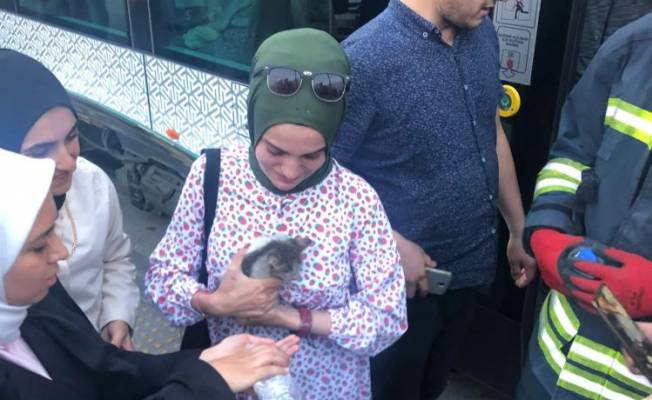 Konya'da duraktaki tramvayın altına kaçan kediyi itfaiye çıkarttı