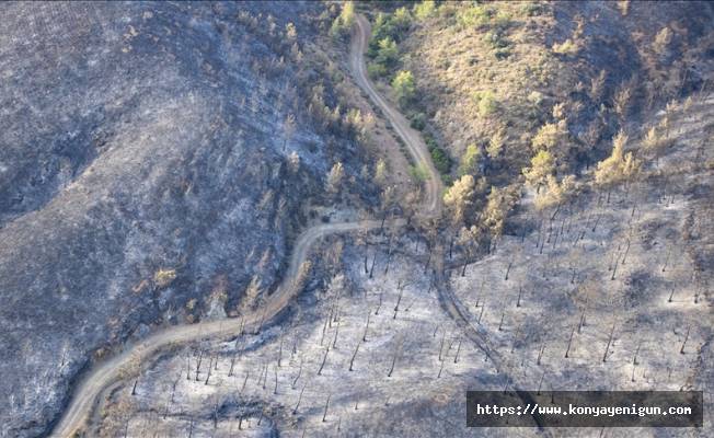 Marmaris'teki orman yangınıyla ilgili gözaltına alınan şüpheli, adliyeye sevk edildi