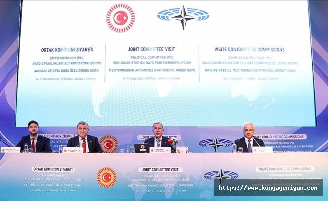NATO PA Siyasi Komisyon ile Akdeniz ve Orta Doğu Özel Grubu Ortak Toplantısı İstanbul'da başladı