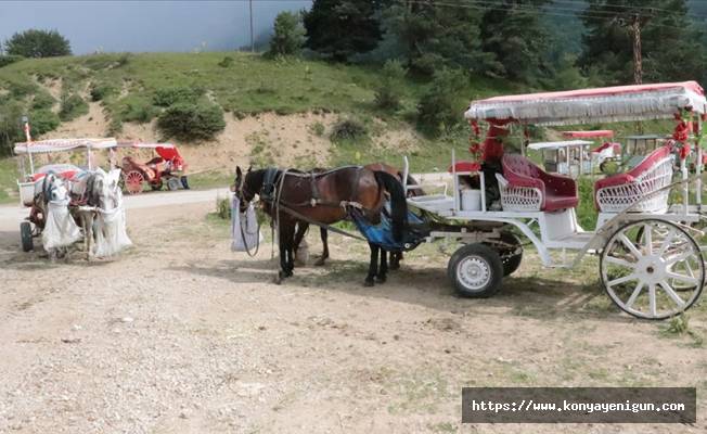 Abant Milli Parkı'nda at ve faytonla yapılan gezi faaliyetleri sonlandırıldı