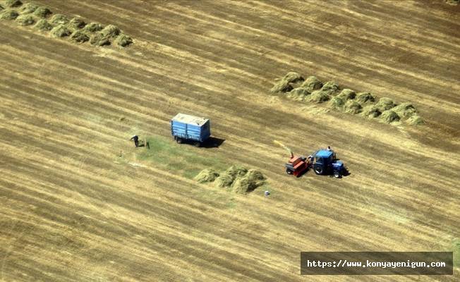 Ağrı'da çiftçilerin tarlalarda zorlu mesaisi