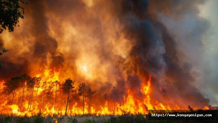 Avrupa'da orman yangınları sürüyor