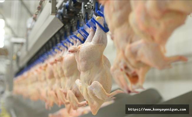 Çin'e beyaz et ihracatı son 12 ayda yüzde 353 arttı