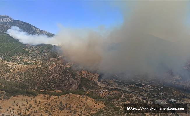 Datça'da çıkan orman yangınına havadan ve karadan müdahale ediliyor