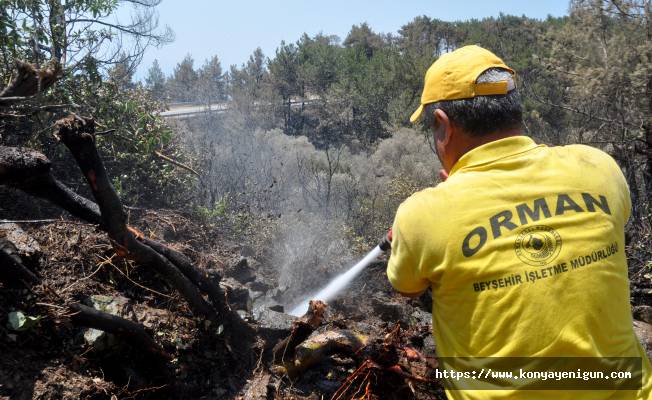 Datça'da yanan ormanlarda soğutma çalışmaları sürüyor