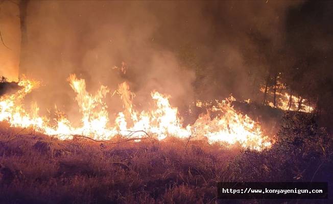 Denizli-Muğla sınırında çıkan orman yangını söndürüldü