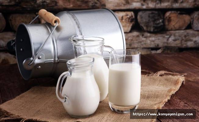 İnek sütü miktarı yüzde 0,6 arttı