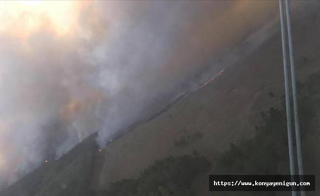Kazakistan’da çıkan orman yangınında 1 kişi öldü, 100'den fazla ev zarar gördü