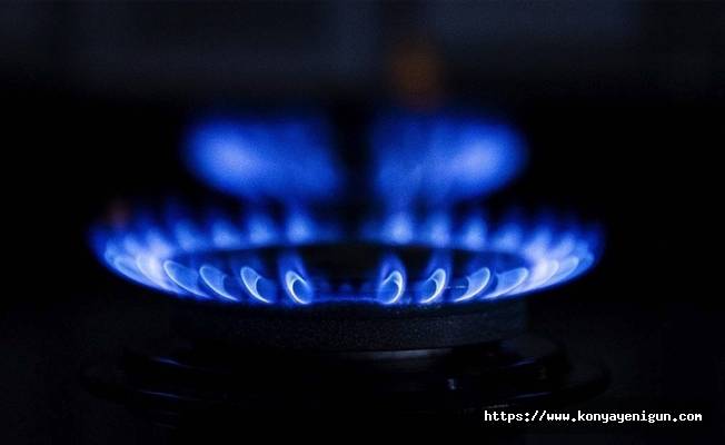 GAZBİR-GAZMER: Doğal gazın asgari ücretteki payı diğer yakıtlara göre düşük seviyede