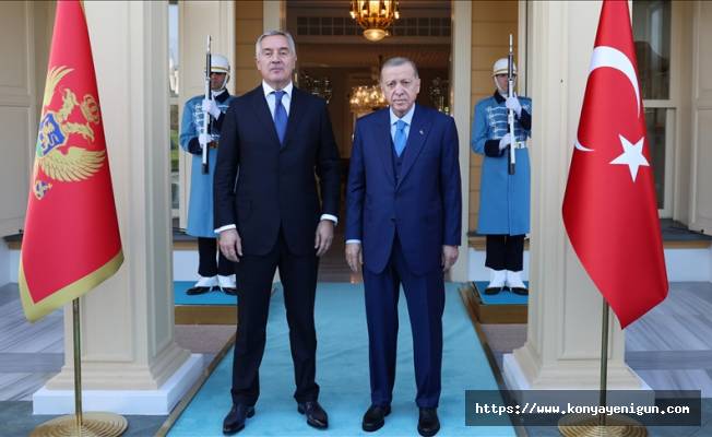 Cumhurbaşkanı Erdoğan, Karadağ Cumhurbaşkanı Djukanovic ile görüştü
