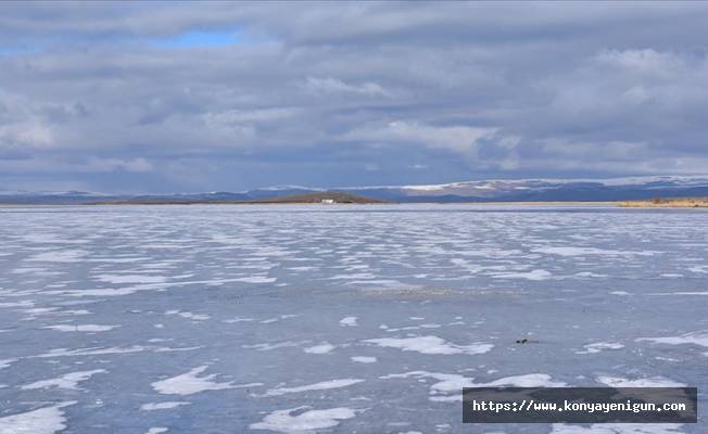 Kars, Ağrı ile Ardahan'da dere ve göletler buz tuttu