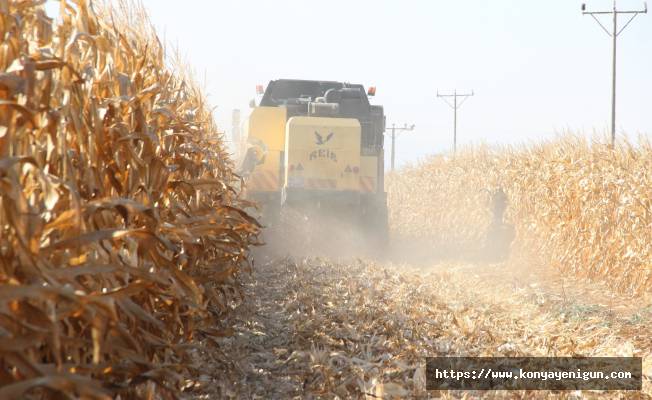 Çiftçiler yüzde 200 artan tohum fiyatlarıyla ilgili çalışma bekliyor