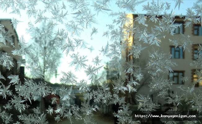 Erzurum, Ardahan ve Kars'ta dondurucu soğuk hava etkili oldu