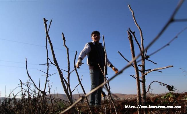 Güneydoğu'daki kuraklık üreticileri endişelendiriyor