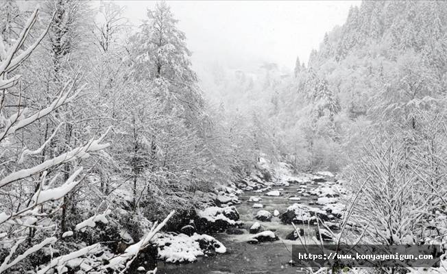 Rize ve Artvin çevrelerinde yoğun kar yağışı bekleniyor