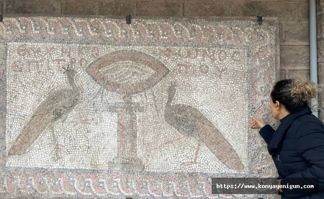 Roma dönemine ait  mozaikler korunuyor