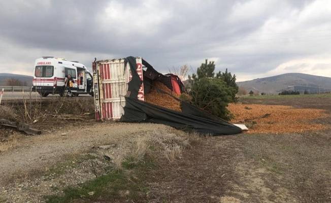 Talaş yüklü kamyon devrildi: 1 yaralı