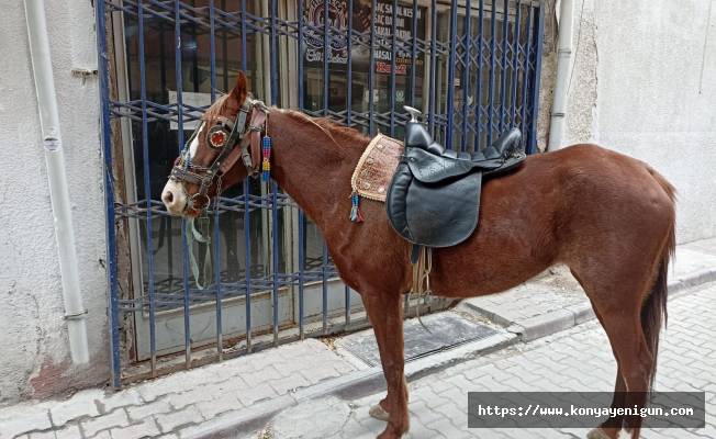 Konya'da alkollü olarak atıyla caddede dolaşan kişiye ceza