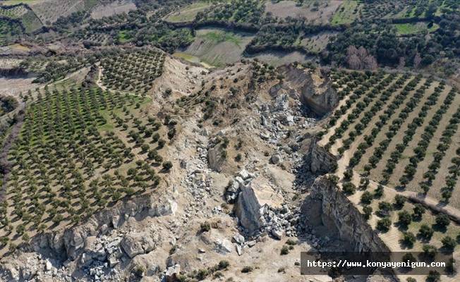 Hatay'da, depremde ikiye bölünen zeytinliğin bulunduğu bölge için kritik uyarı