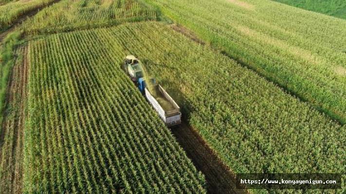 Tarım sektörü ihracatta rekor kırdı
