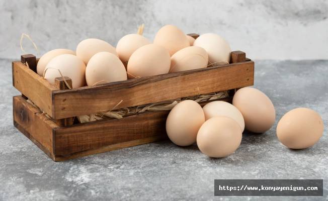 Yumurta üretimi artarken tavuk eti üretimi azaldı